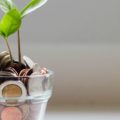 cash boost